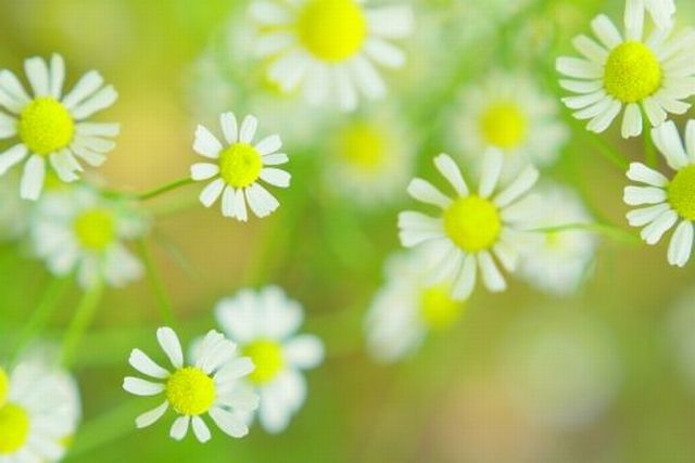 善とは心を浄めること～裏側に天晴れ・陽気・生命力の発露がある