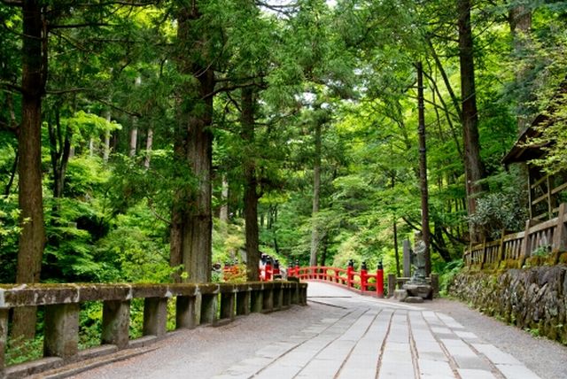 日本人の生まれ変わりは神（天人）が多い～日本人はインドの輪廻転生とは違う