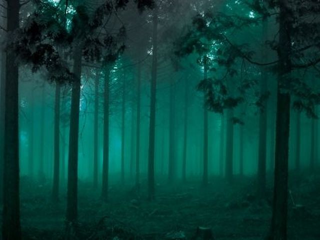 天界の神でも邪神になる~アーターナーティヤ経に登場する悪いヤッカ(神霊)