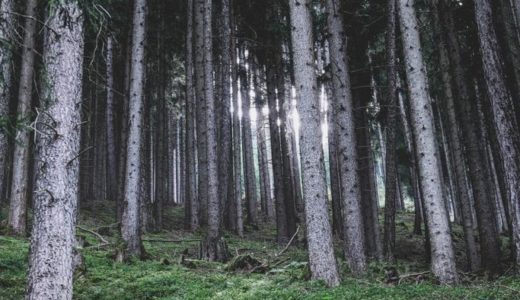 執着すると苦しみ・不幸になる