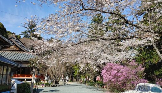 最近の活動