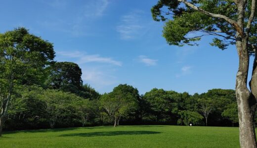 瞑想は「リラックス」と「あるがままに気づく」が要