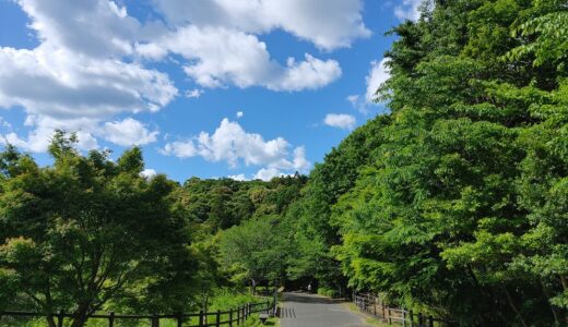 私がたどってきた不思議なスピリチュアル人生と体験～ブログを書く意義
