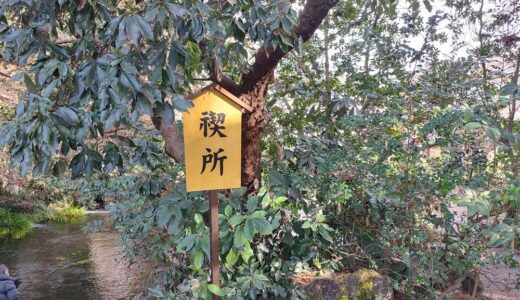 真我に関する様々な表現～根源意識、宇宙意識、善、一、道、徳、父（神）、生命の実相、補特伽羅、極光浄