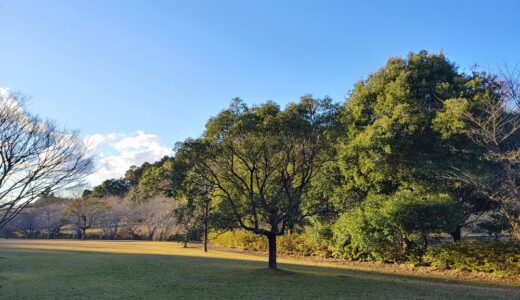 本当に自分が変わる「４つの実践」